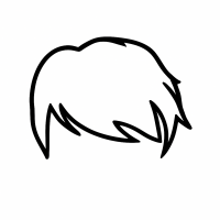 Haarstyling