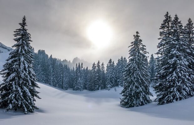 Winterliche Hand und Körperpflege - Samtweiche Haut im Winter - Winterliche Hand und Körperpflege - Samtweiche Haut im Winter