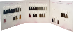 Dusy Color Shades Farbkarte mit Meschen