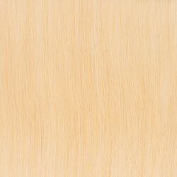 Doublehair Tape+Clip Extensions HH 25cm 2pcs 10A