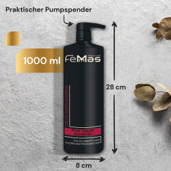 FemMas Post Color Shampoo 1000ml inklusive Dosierpumpe